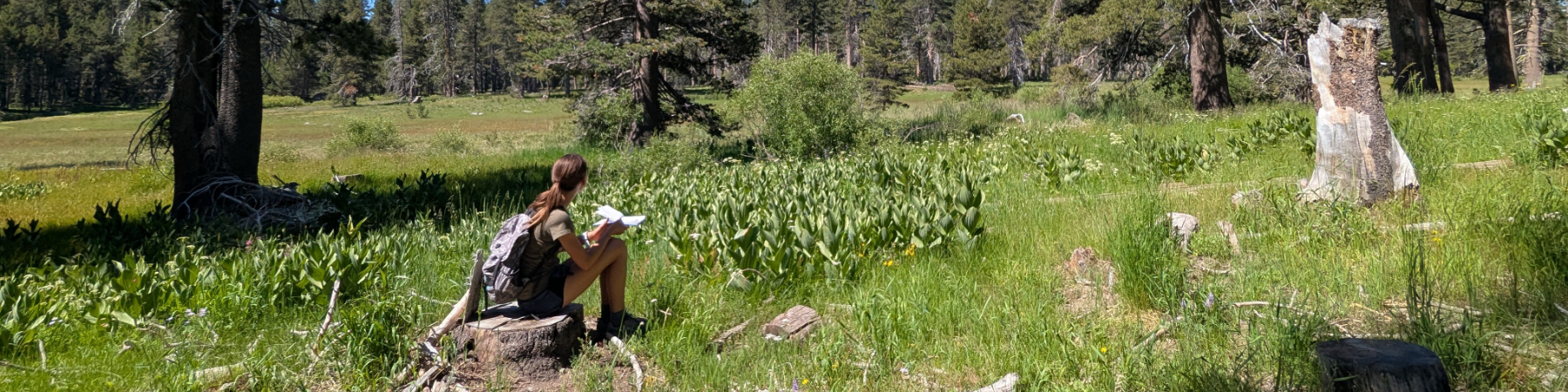 Headwaters Banner (600x150) (6)