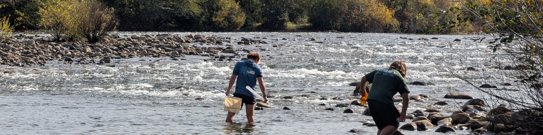 Headwaters Banner (600x150) (3)